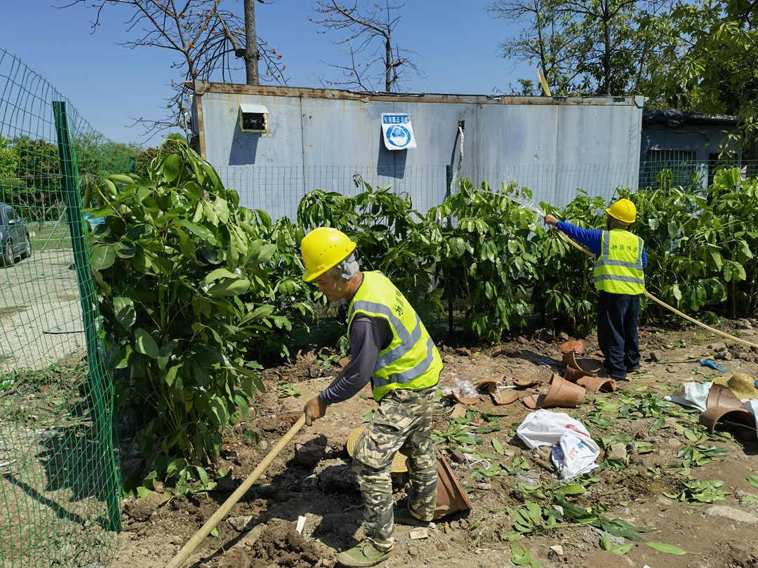 菲律宾网赌合法平台工人正在施工种植